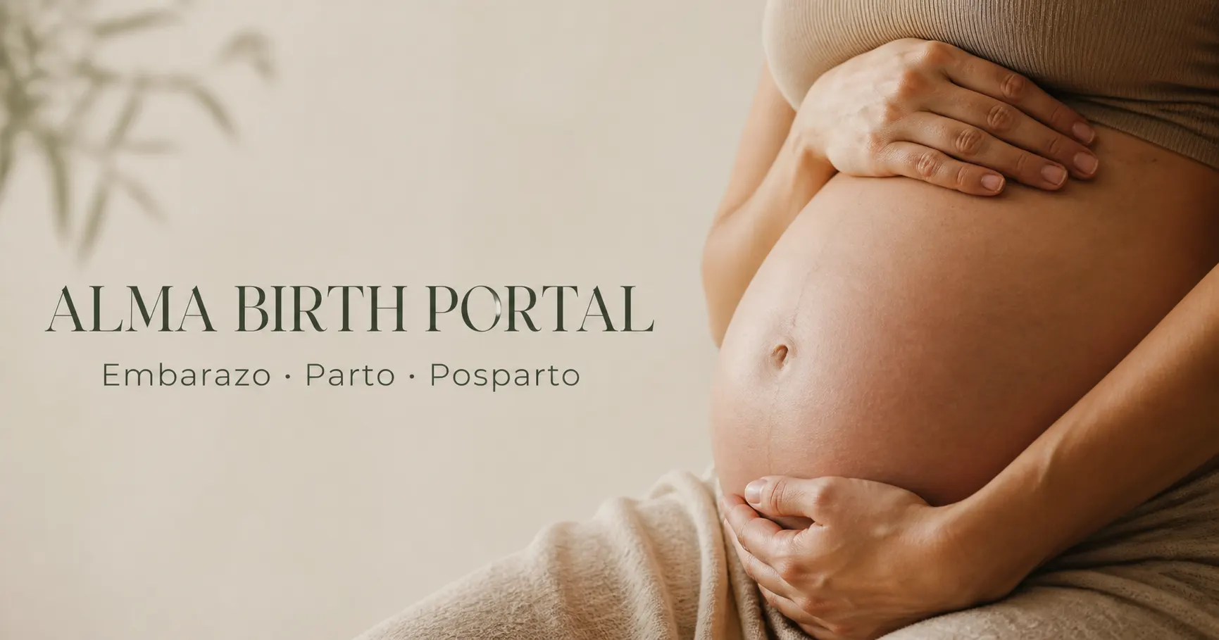Sistema de identidad editorial de Alma Birth Portal